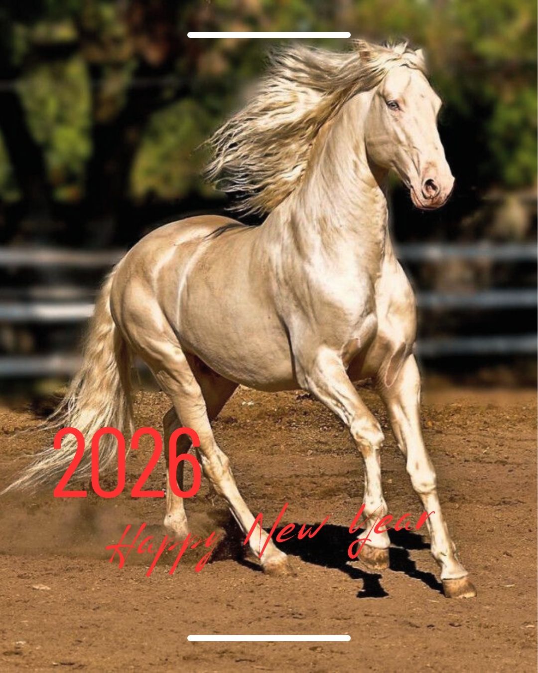 2026年新年あけましておめでとうございます。